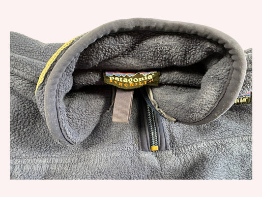 Patagonia Fleece Pullover Blue