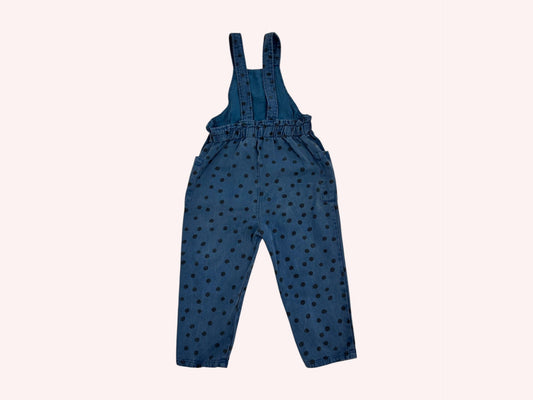 Zara Dungarees Blue