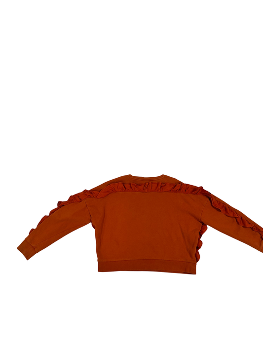 Stella McCartney Kids Sweatshirt Orange