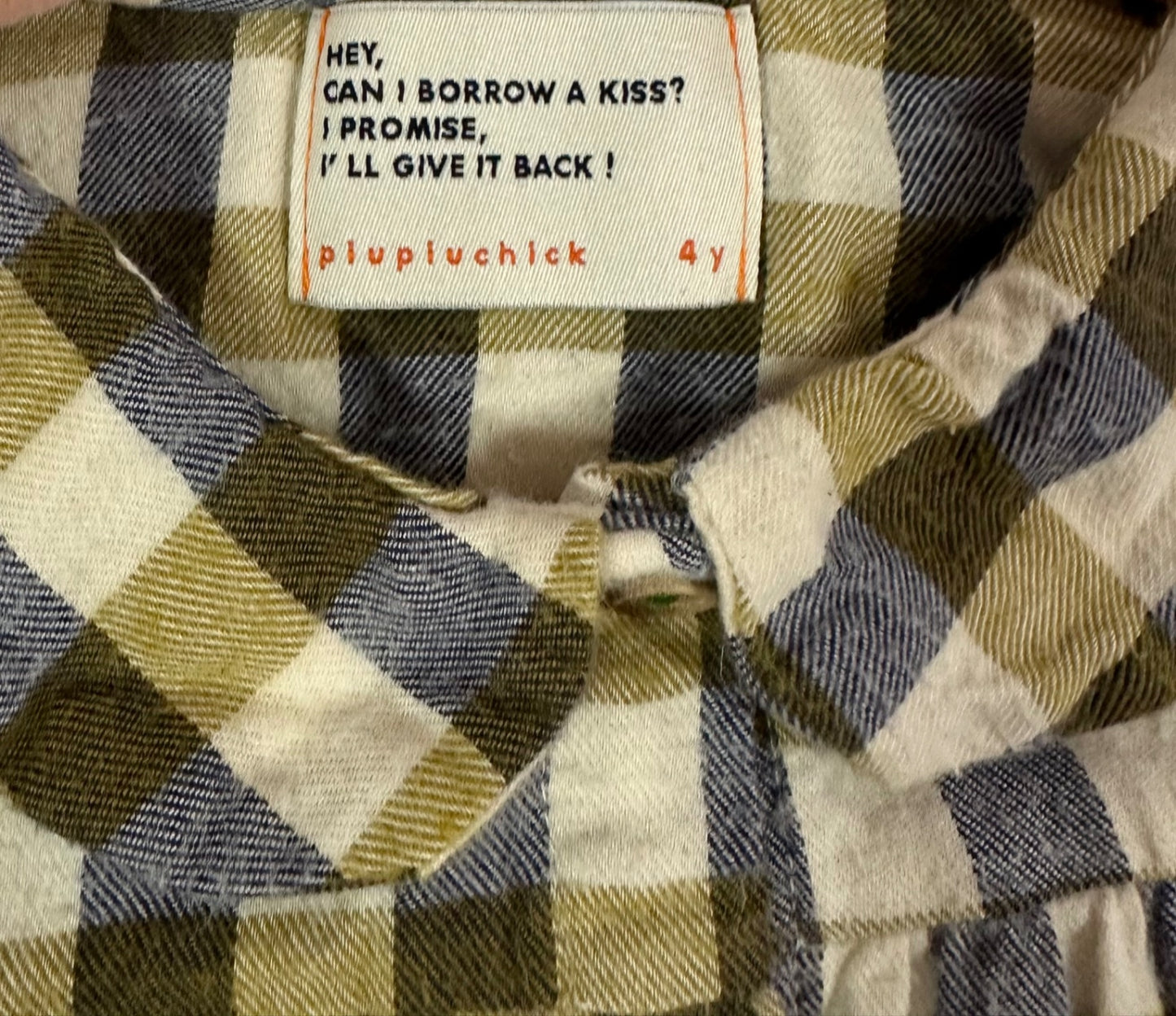 Piupiuchick Brown Check Blouse