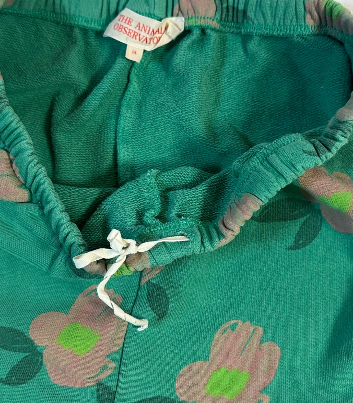 The Animals Observatory Sweatpants Green