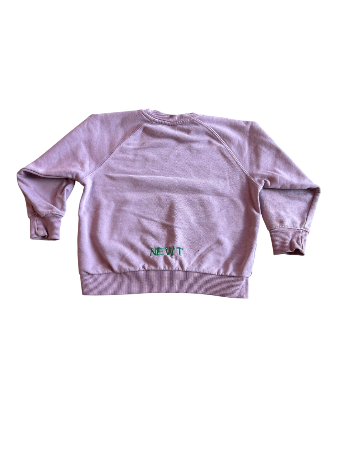 Zara Sweatshirt Pink