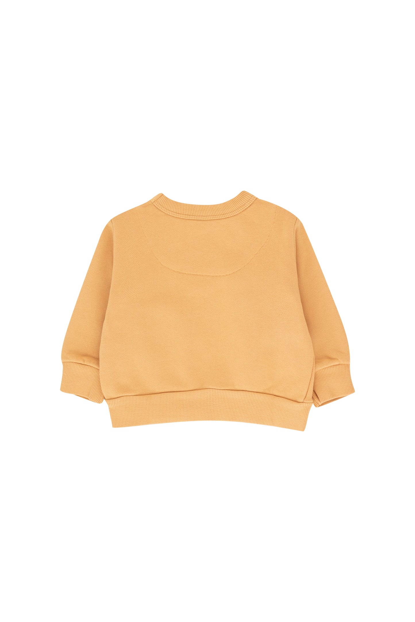 Tiny Cottons Tangerine Sweatshirt