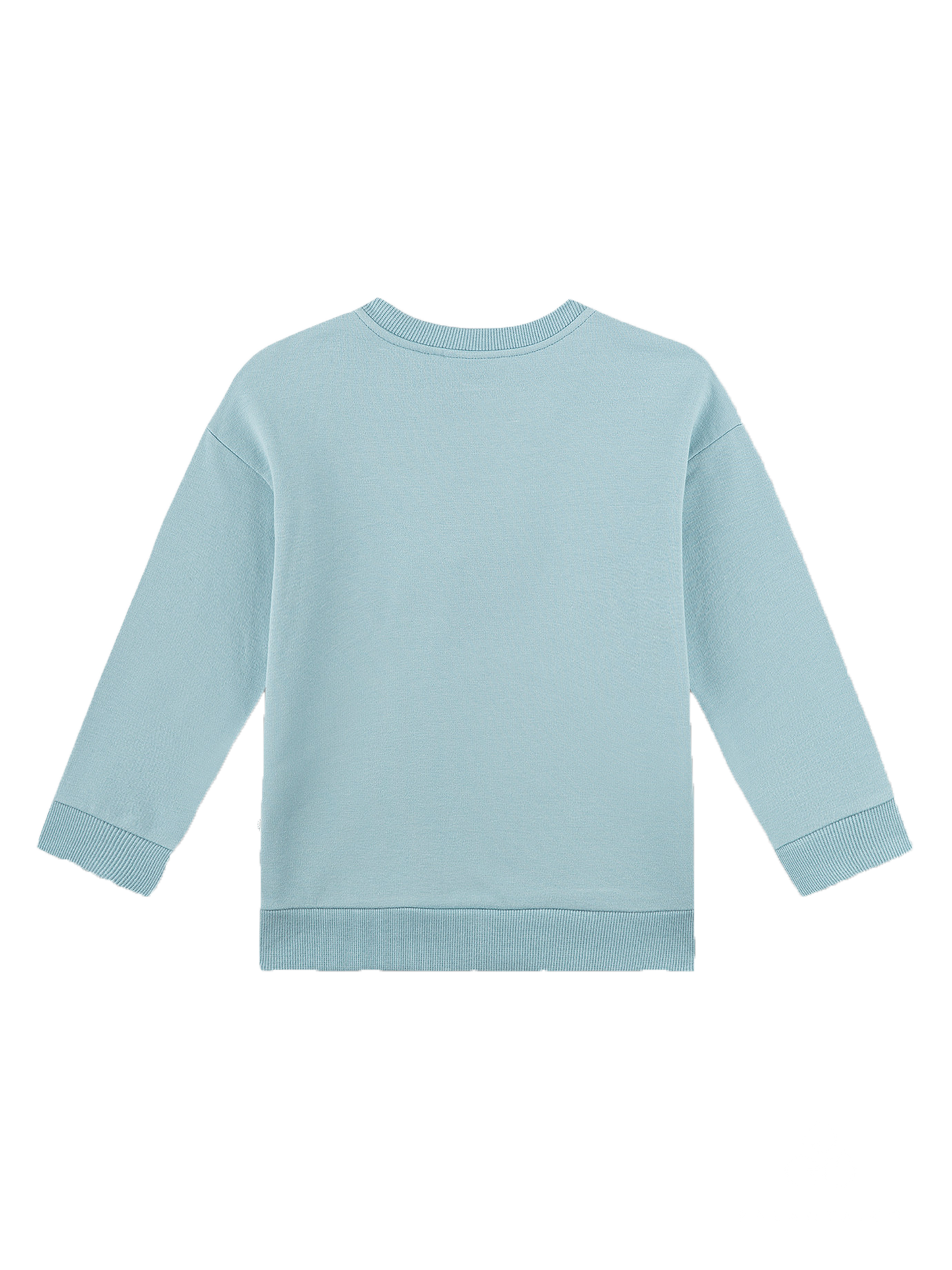 Sanetta Future Sweatshirt Long Sleeve
