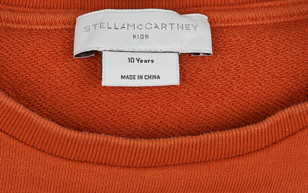 Stella McCartney Kids Kids T-Shirt Orange