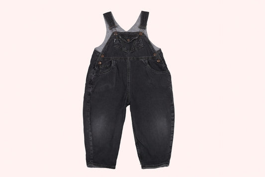 Levi's Dungarees Blue