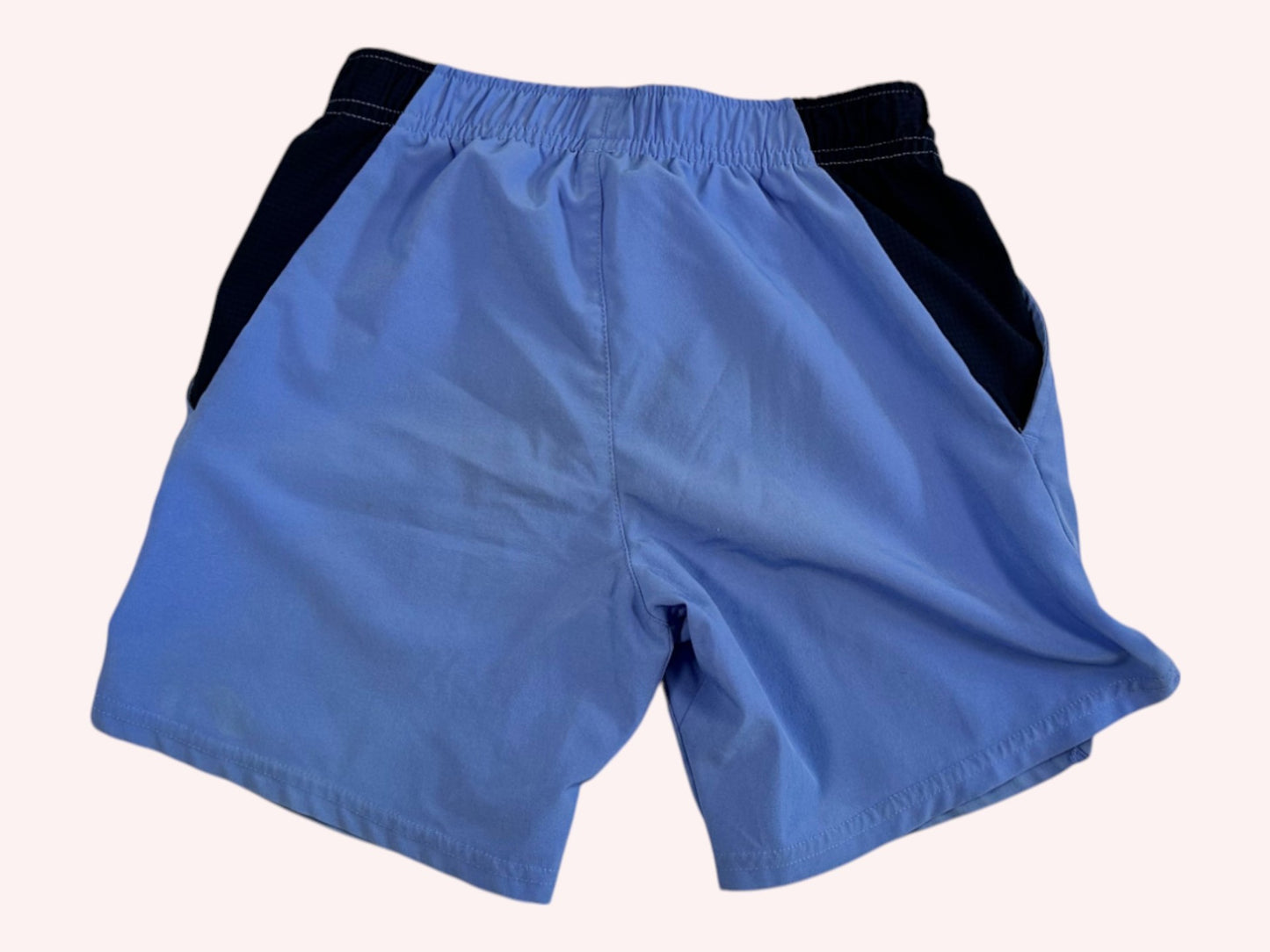 Nike Sport Shorts Blue