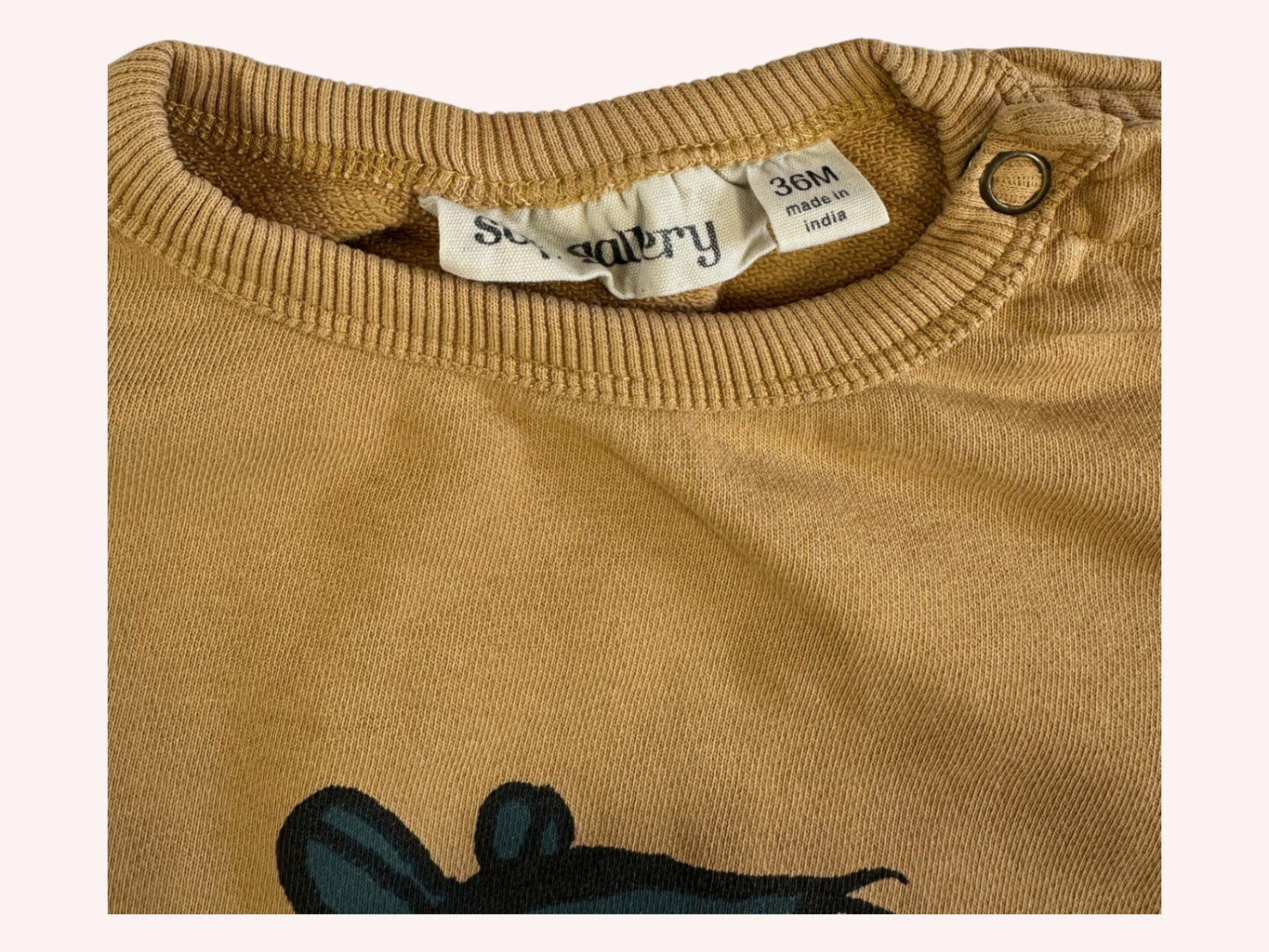 Soft Gallery Sweatshirt Brown
