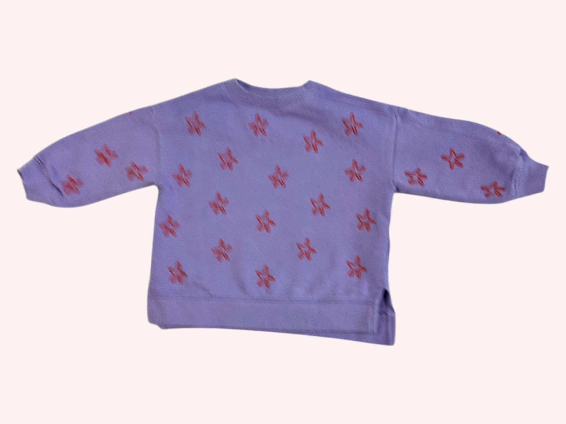 Arket Sweatshirt Purple