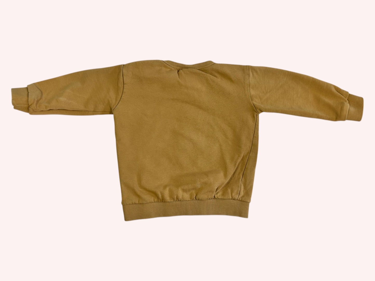 Soft Gallery Sweatshirt Brown