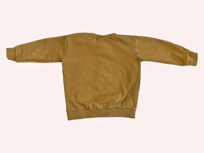 Soft Gallery Sweatshirt Brown