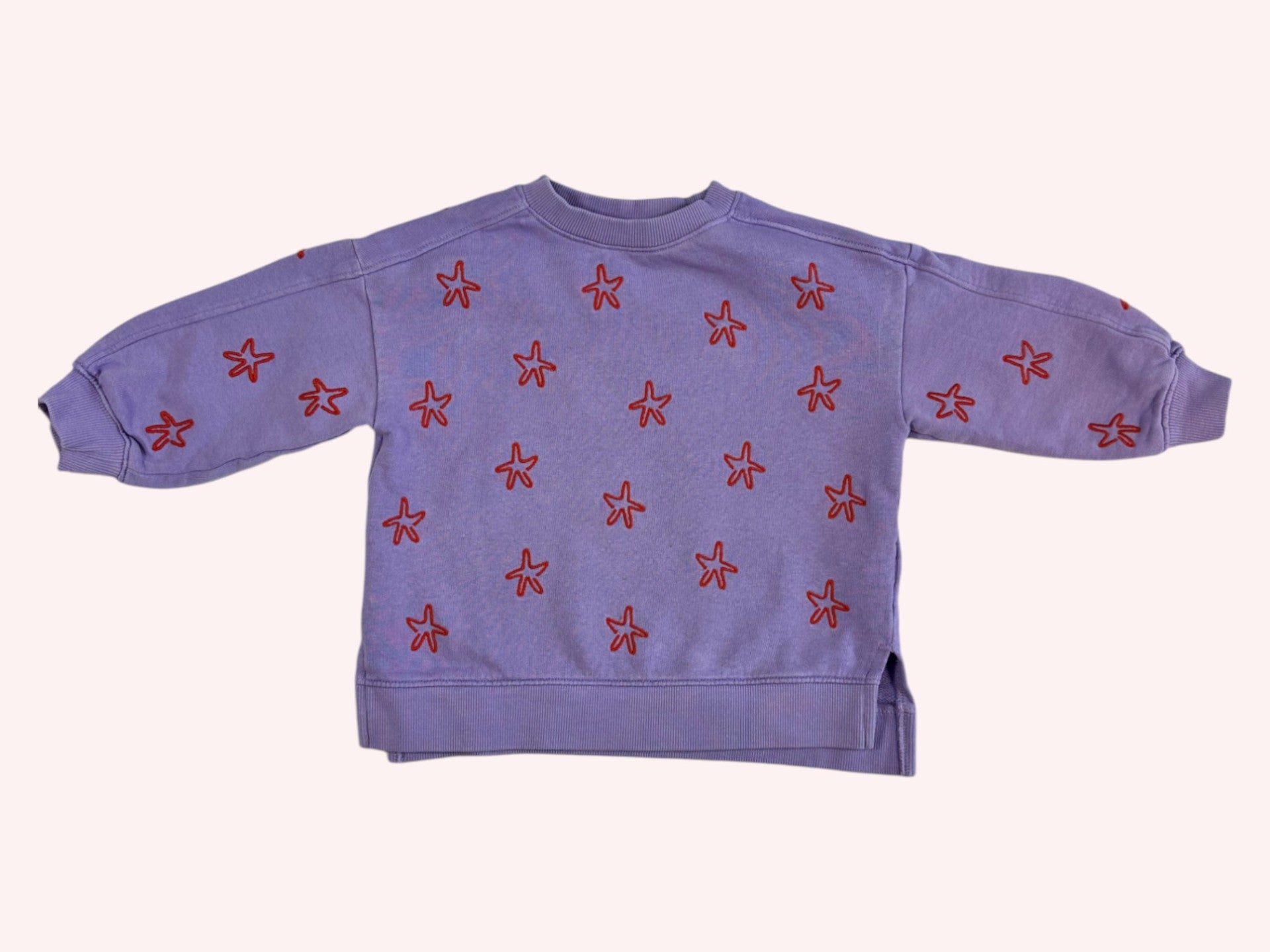 Arket Sweatshirt Purple