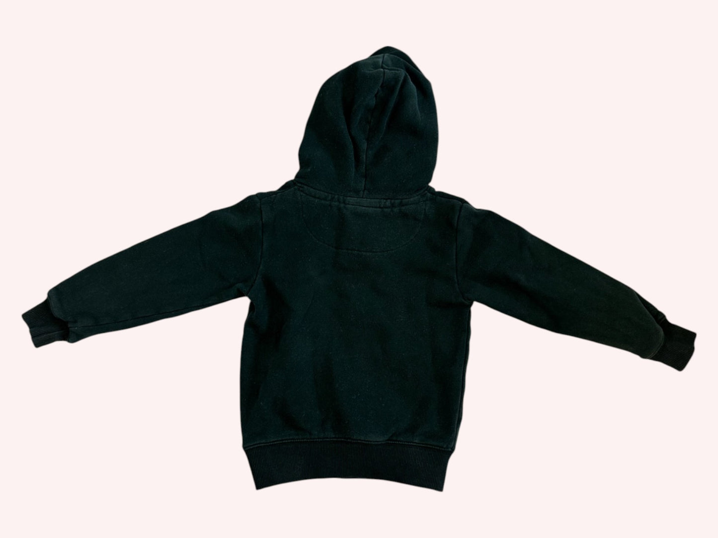 GANT Hoodie Blue
