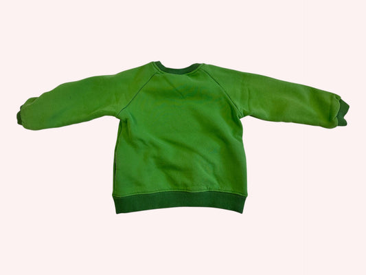 Cozy Sweatshirt Green