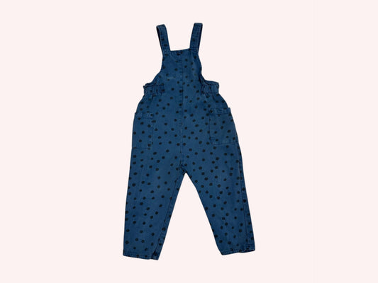 Zara Dungarees Blue