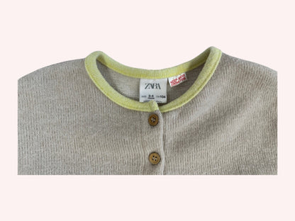 Zara Dress Beige