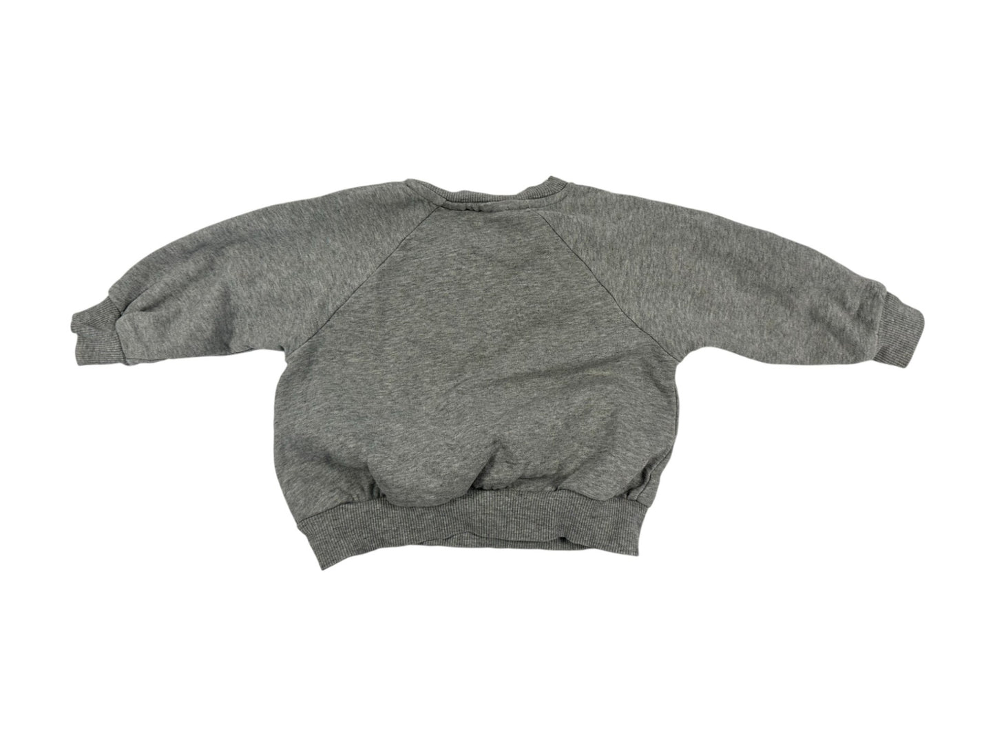Mini Rodini Sweatshirt Grey abet