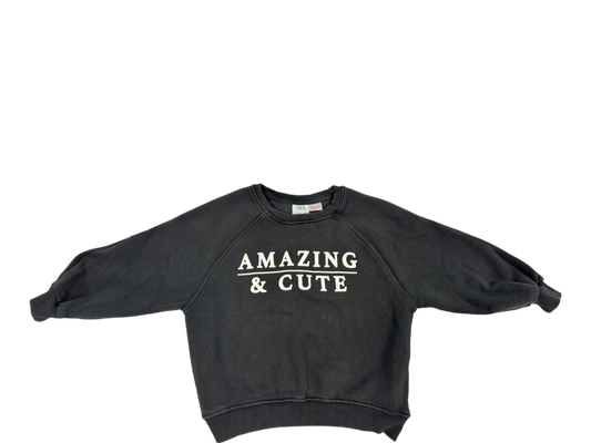 Zara Sweatshirt Grey