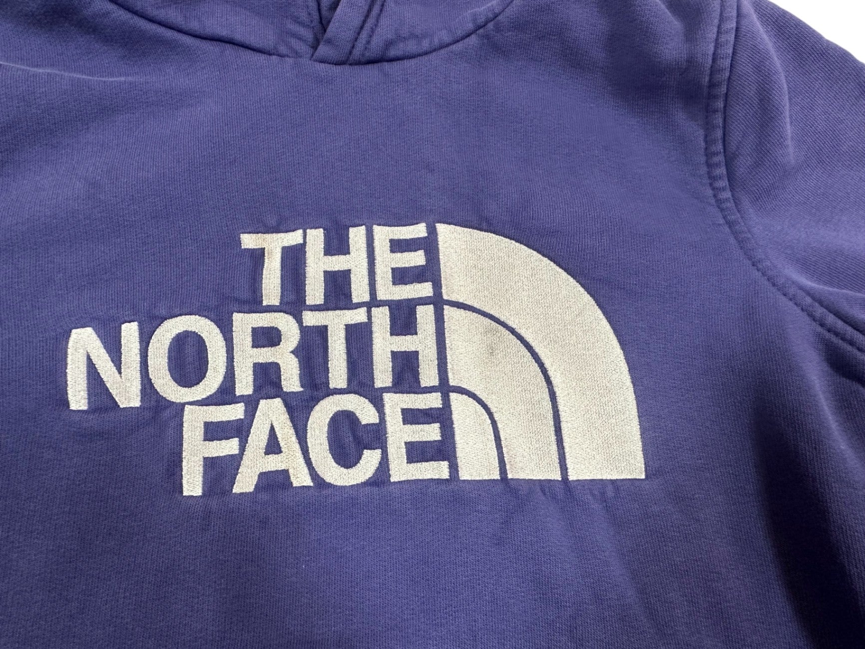 The North Face Hoodie Blue