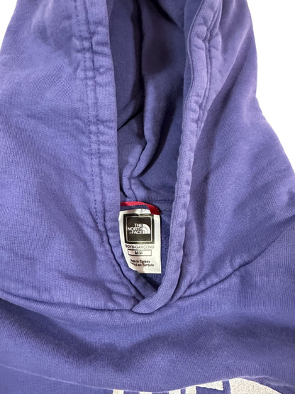 The North Face Hoodie Blue