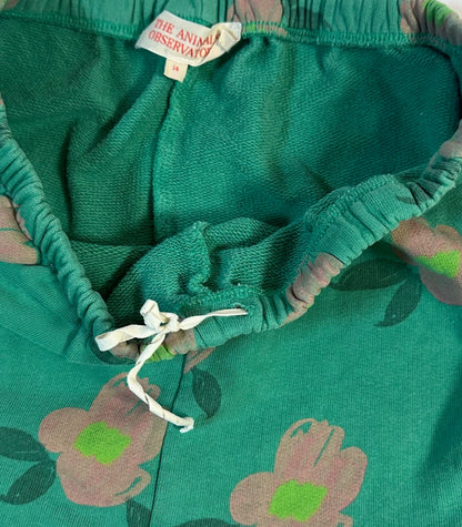 The Animals Observatory Sweatpants Green