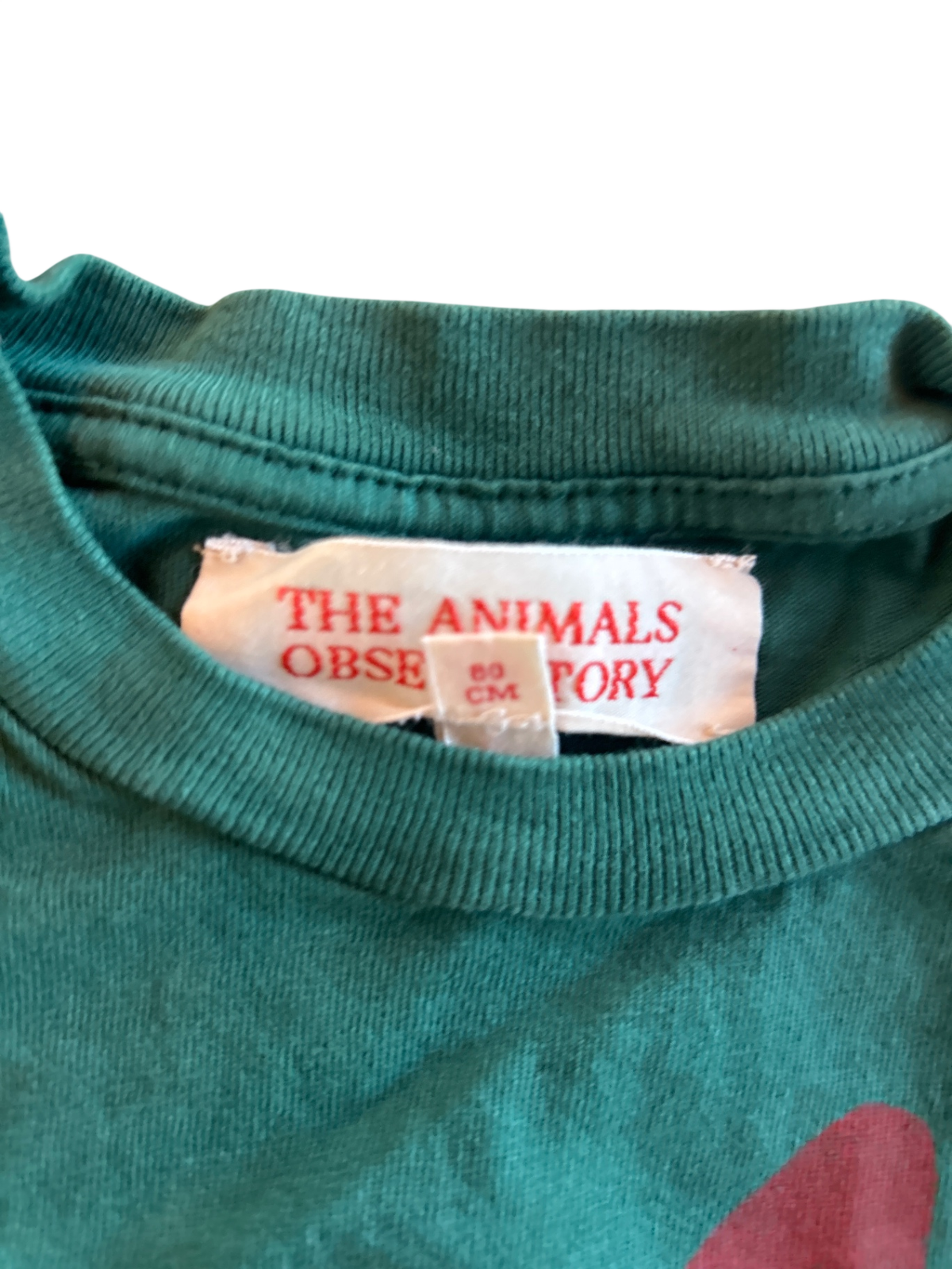 The Animals Observatory Sweatshirt Teal