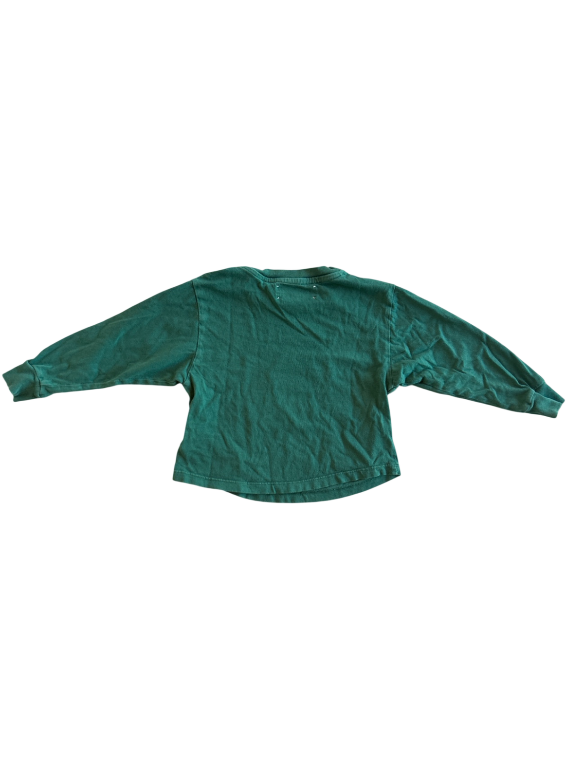 The Animals Observatory Sweatshirt Teal