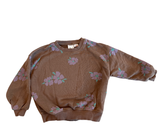 Zara Sweatshirt Brown