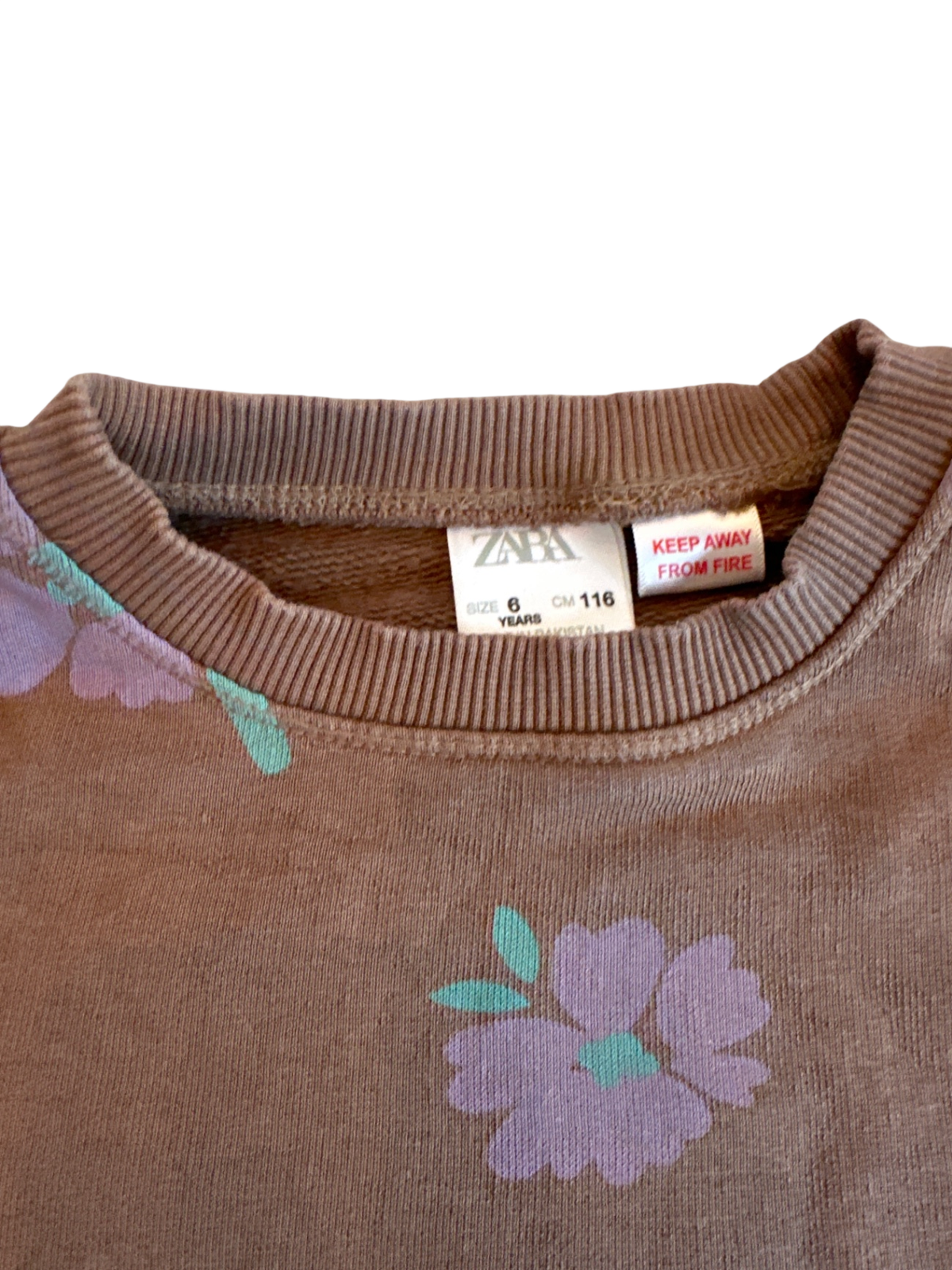 Zara Sweatshirt Brown