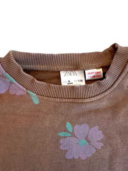 Zara Sweatshirt Brown