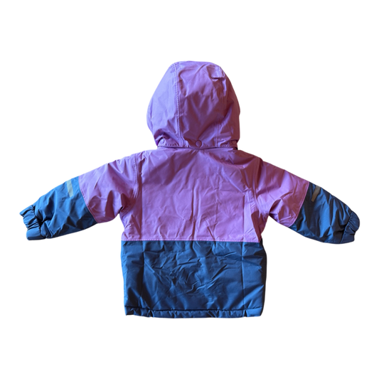 Patagonia Jacket Pink