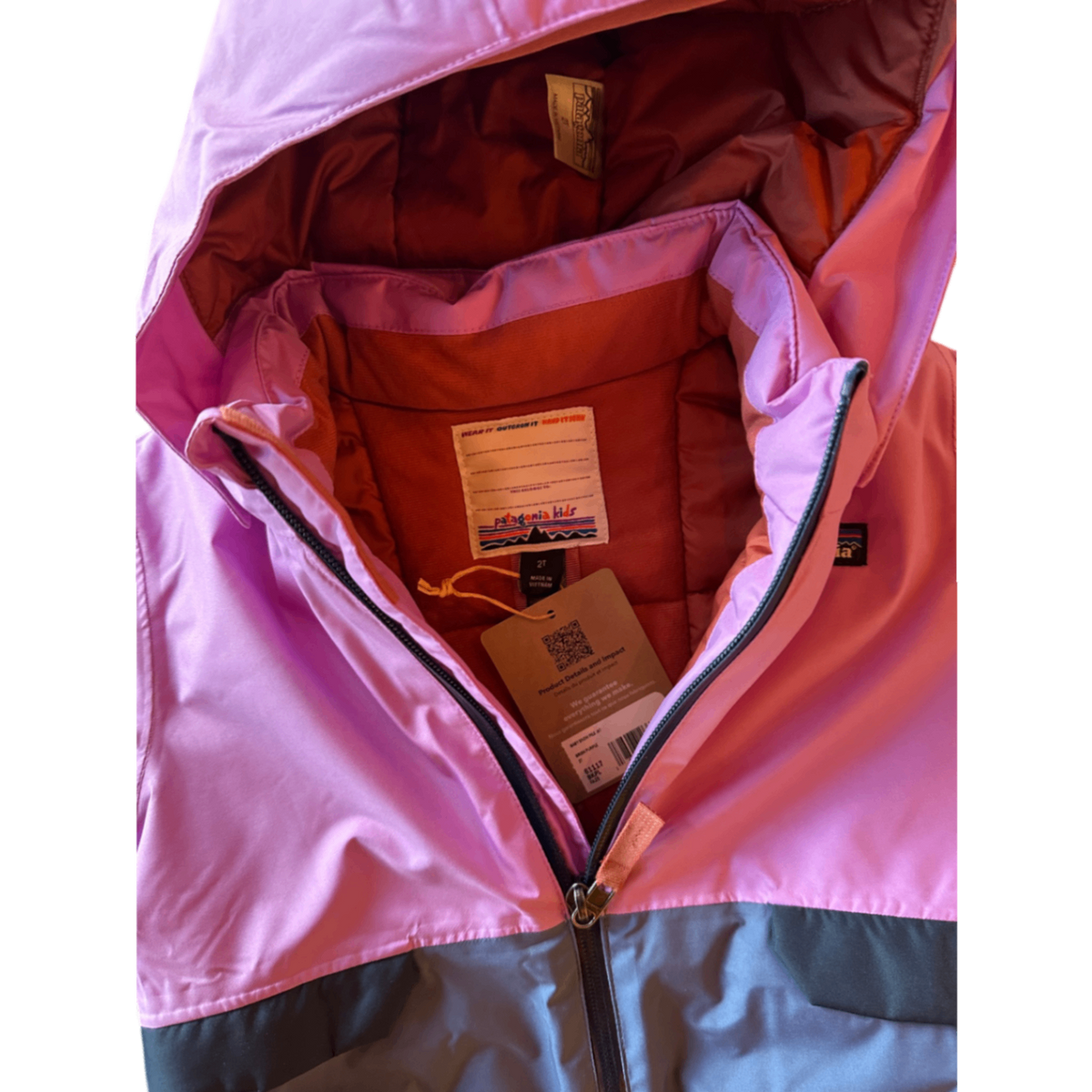 Patagonia Jacket Pink
