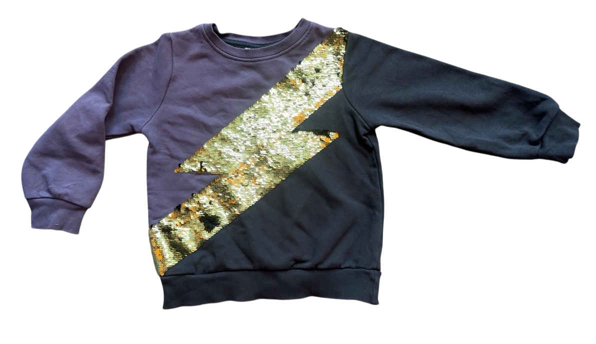 Sweatshirt Purple