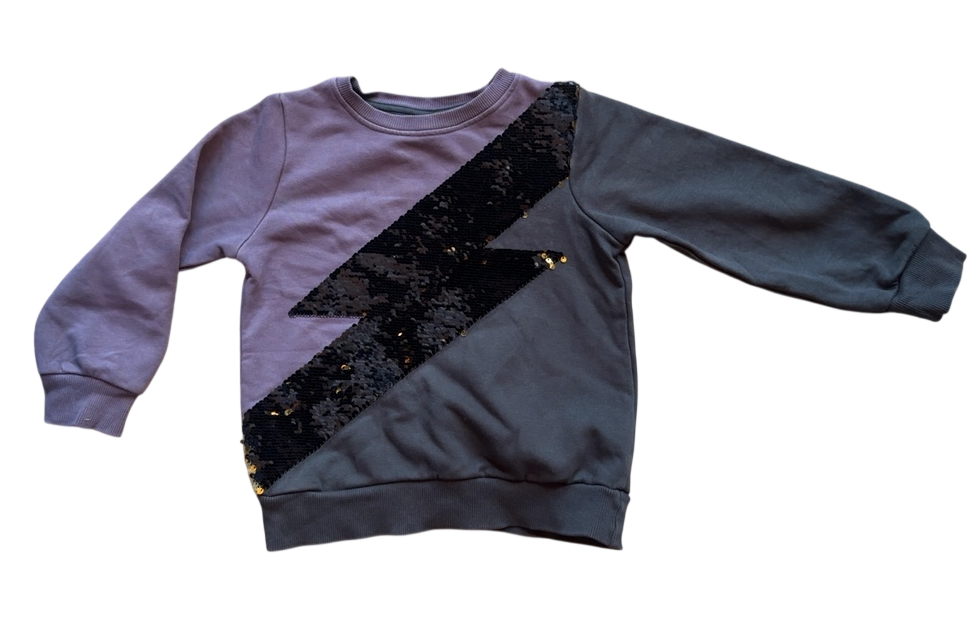 Sweatshirt Purple